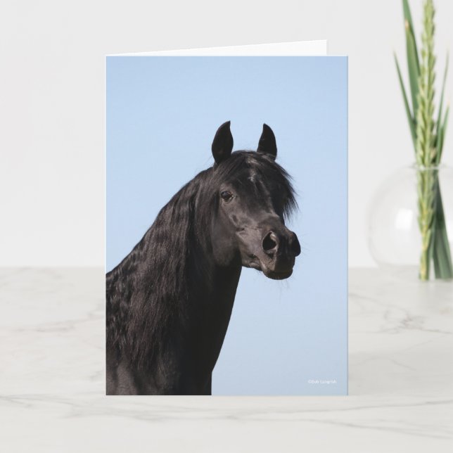 Tarjeta Bob Langrish | Captura de cabeza del Black Arab St (Anverso)