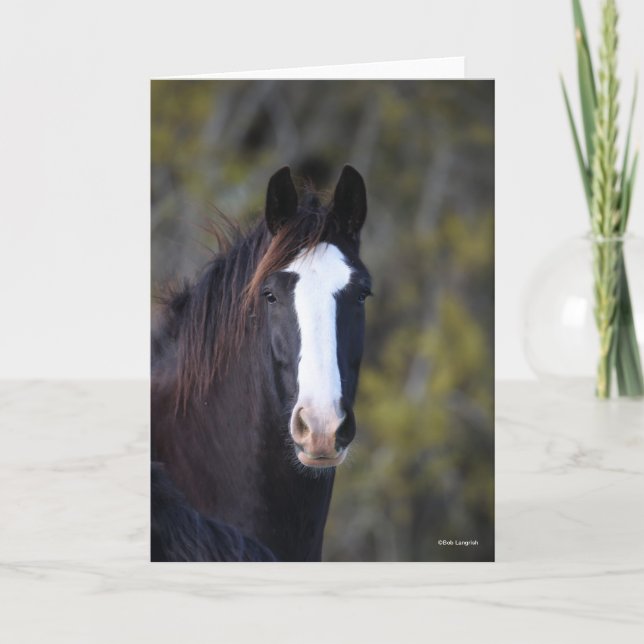 Tarjeta Bob Langrish | Captura de cabeza del caballo de Sh (Anverso)