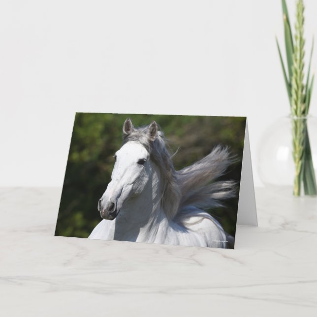 Tarjeta Bob Langrish | Captura de cabeza del Stallion de A (Anverso)