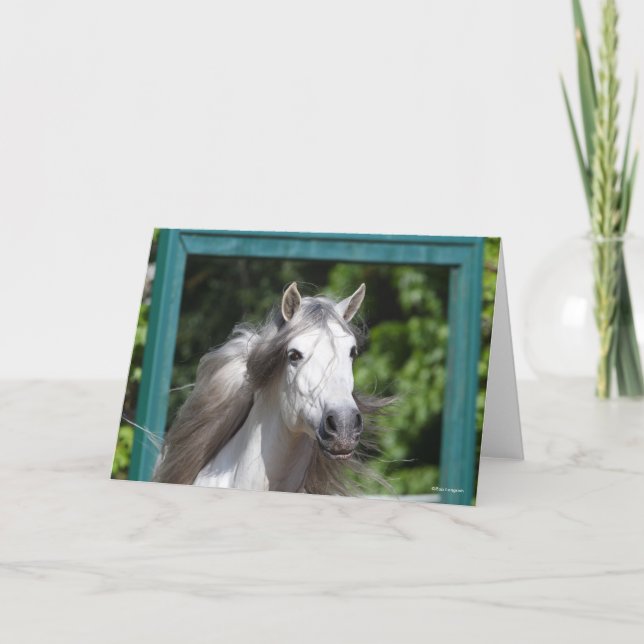 Tarjeta Bob Langrish | Captura de cabeza del Stallion de A (Anverso)