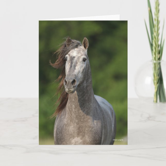 Tarjeta Bob Langrish | Captura de cabeza del Stallion de A (Anverso)