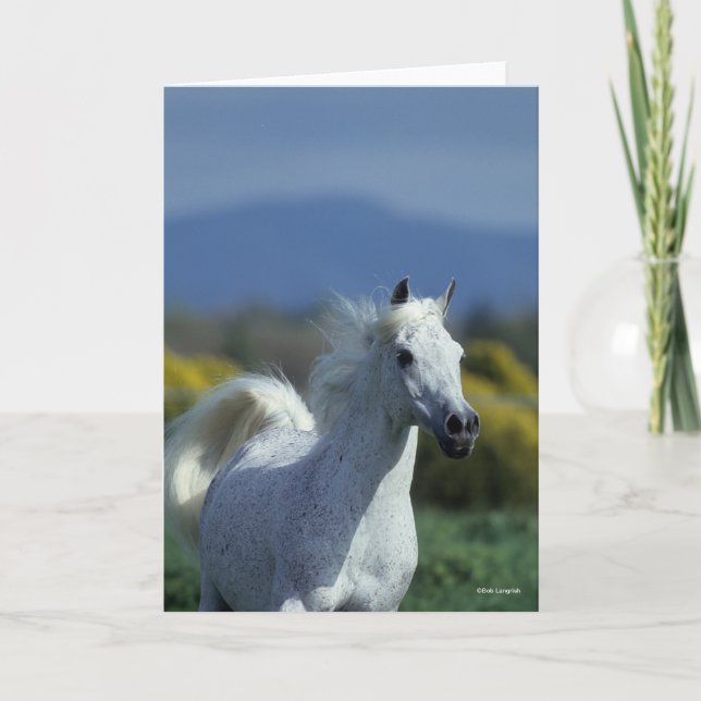 Tarjeta Bob Langrish | Captura de pantalla árabe gris (Anverso)