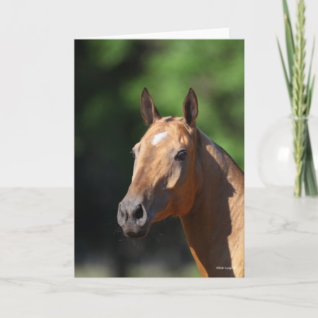Tarjeta Bob Langrish | Captura de pantalla de Akhal Teke (Anverso)