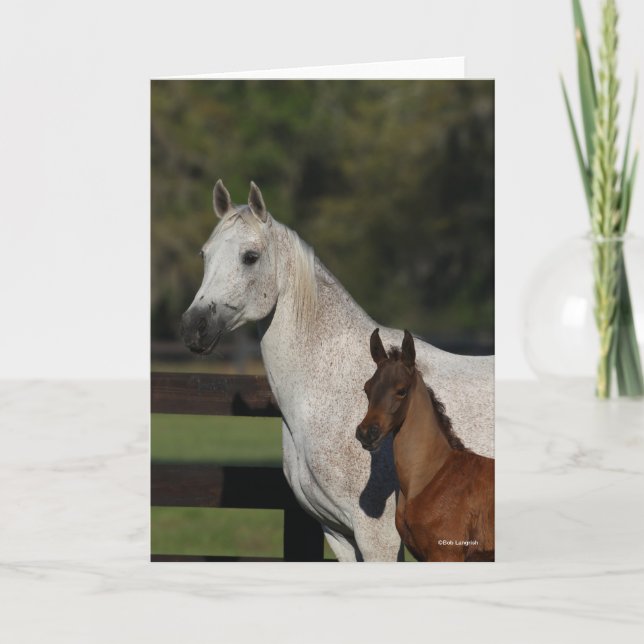 Tarjeta Bob Langrish | Captura de pantalla de Arab Mare y  (Anverso)