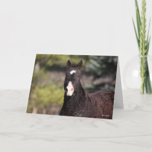 Tarjeta Bob Langrish   Captura de pantalla de Bashkir Curl