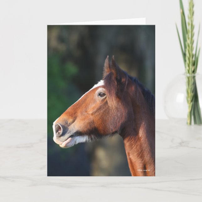 Tarjeta Bob Langrish | Captura de pantalla de Clydesdale (Anverso)