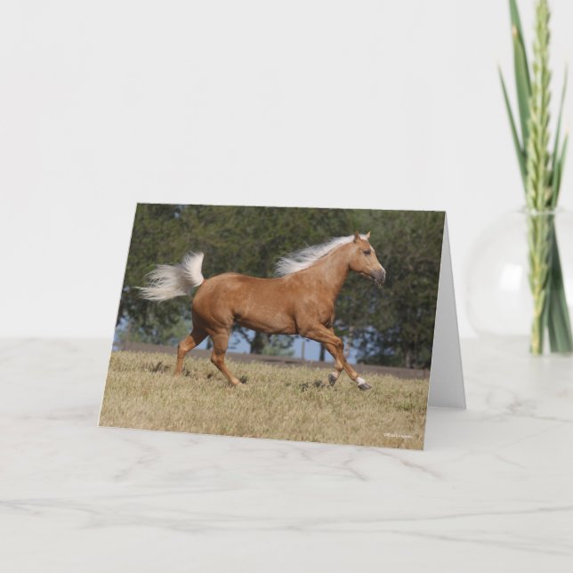 Tarjeta Bob Langrish | Carrera de caballos del barrio Palo (Anverso)