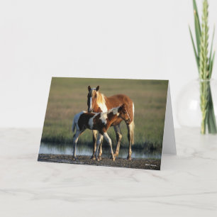 Tarjeta Bob Langrish   Chincoteague Mare y Foot Standing