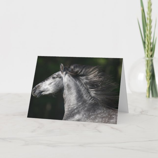 Tarjeta Bob Langrish | Dapple Grey Andalucian headshot (Anverso)