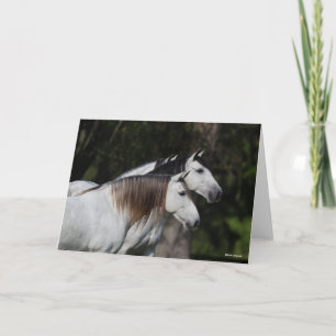 Tarjeta Bob Langrish   Dos andaluces juntos