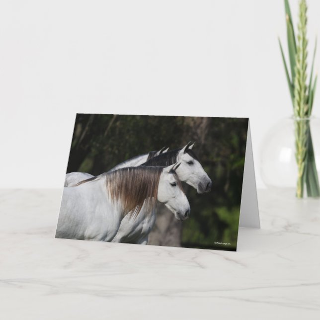 Tarjeta Bob Langrish | Dos andaluces juntos (Anverso)