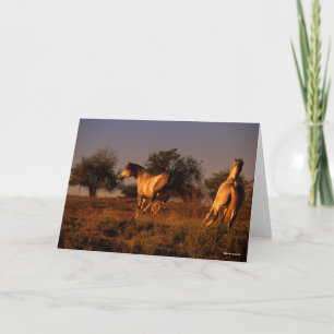 Tarjeta Bob Langrish   Dos Caballos Corriendo Al Atardecer