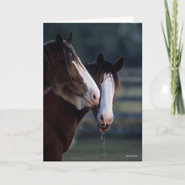 Tarjeta Bob Langrish | Dos Caballos de Clydesdale (Anverso)