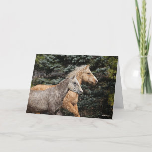 Tarjeta Bob Langrish   Dos Caballos de Curly Bashkir