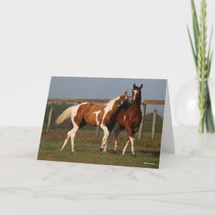 Tarjeta Bob Langrish   Dos caballos de pintura juegan junt