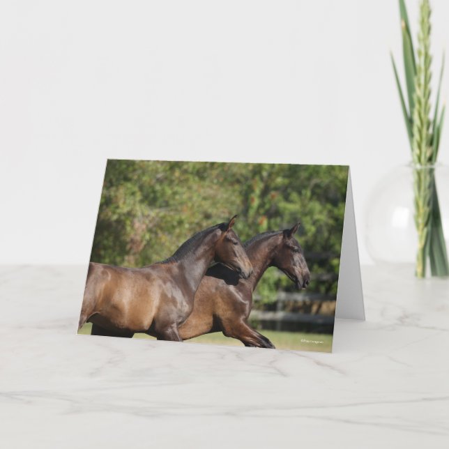 Tarjeta Bob Langrish | Dos caballos marrones andaluces en  (Anverso)