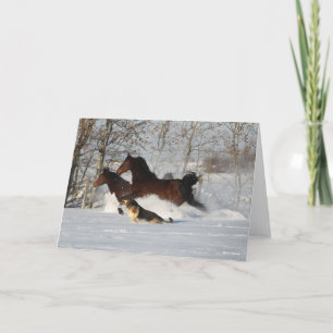 Tarjeta Bob Langrish   Dos caballos Morgan y Perro en Niev
