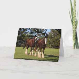 Tarjeta Bob Langrish   Dos Jóvenes Caballos Camisas de pie