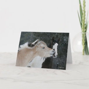 Tarjeta Bob Langrish   Dos Ponies Reunidos En La Captura D