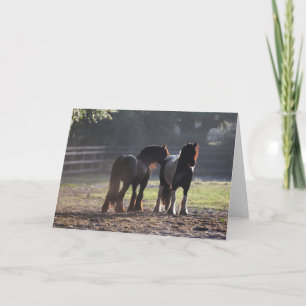 Tarjeta Bob Langrish   Dos Vanners Gitanos Con Luz De Fond