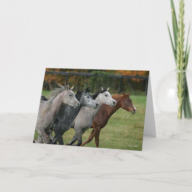 Tarjeta Bob Langrish | Four Arab Horses Racing Headshot (Anverso)