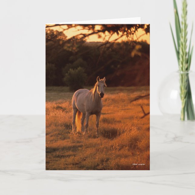 Tarjeta Bob Langrish | Grey Arab Standing at Sunset (Anverso)