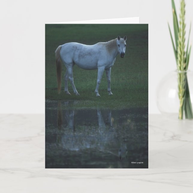 Tarjeta Bob Langrish Grey Arab Standing By Pond Reflection (Anverso)