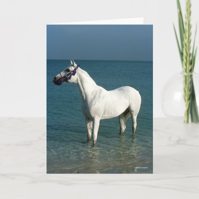 Tarjeta Bob Langrish | Grey Arab Standing In The Sea (Anverso)