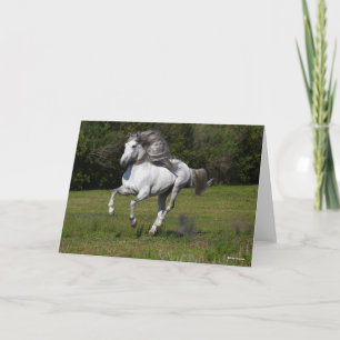 Tarjeta Bob Langrish   Gris Andaluz Stallion Running