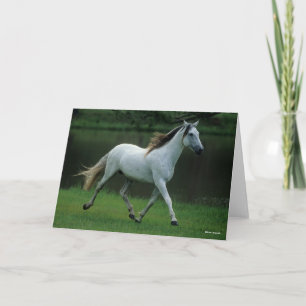 Tarjeta Bob Langrish   Gris Andaluz Stallion Running