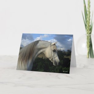 Tarjeta Bob Langrish   Gris Arab Stallion Headshot