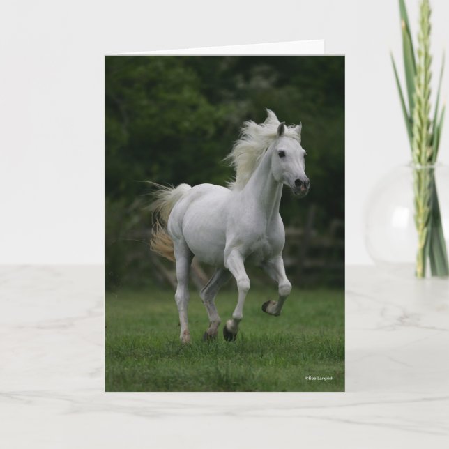 Tarjeta Bob Langrish | Gris Arabe Corriendo Hombres (Anverso)