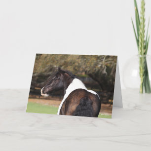 Tarjeta Bob Langrish   Gypsy Vanner Headshot
