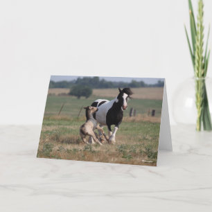 Tarjeta Bob Langrish   Gypsy Vanner Mare y Foey