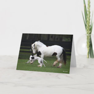 Tarjeta Bob Langrish Gypsy Vanner y el perro juntos