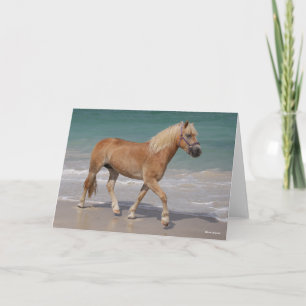 Tarjeta Bob Langrish   Haflinger Caminando Por La Playa