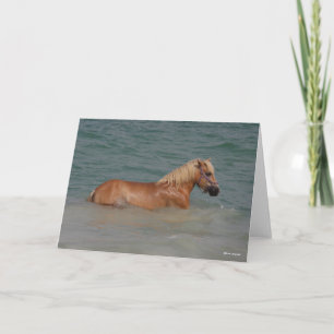 Tarjeta Bob Langrish   Haflinger De Caballos Nadando En El