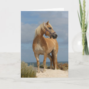 Tarjeta Bob Langrish   Haflinger De Pie En La Playa