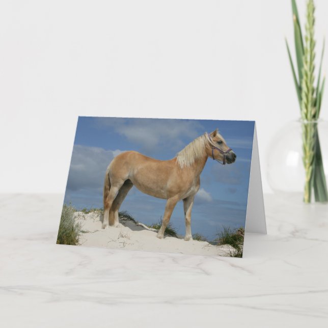 Tarjeta Bob Langrish | Haflinger En La Playa (Anverso)