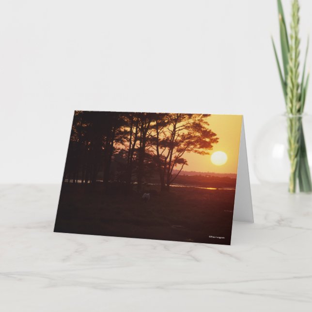 Tarjeta Bob Langrish | La puesta de sol de Chincoteague Gr (Anverso)