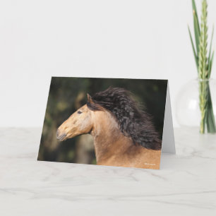Tarjeta Bob Langrish   Lusitano Cabeza Mano Fluyendo