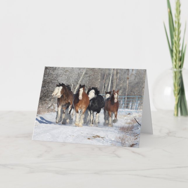 Tarjeta Bob Langrish | Manada De Clydesdales En Nieve (Anverso)