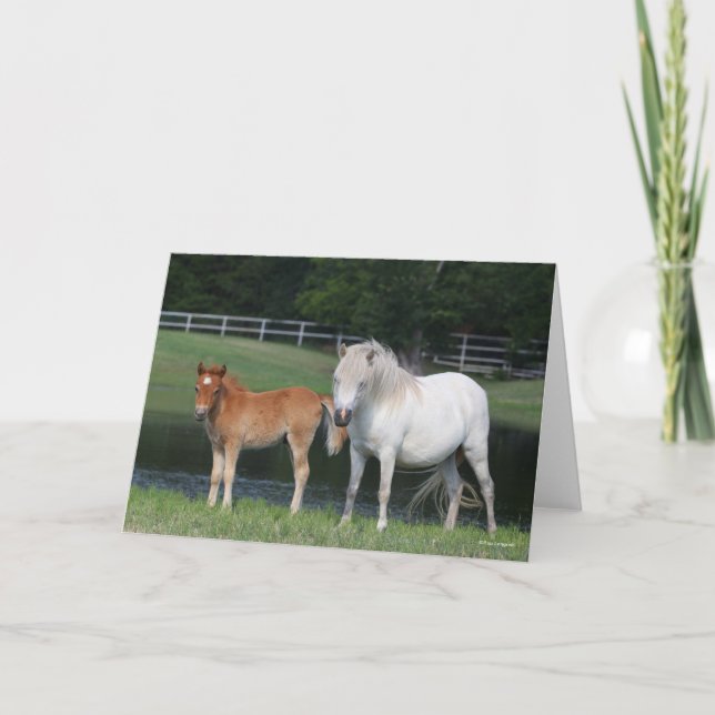 Tarjeta Bob Langrish Miniature Pony Mare and Foal Standing (Anverso)