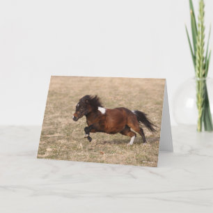 Tarjeta Bob Langrish   Minimización de Pony que corre rápi
