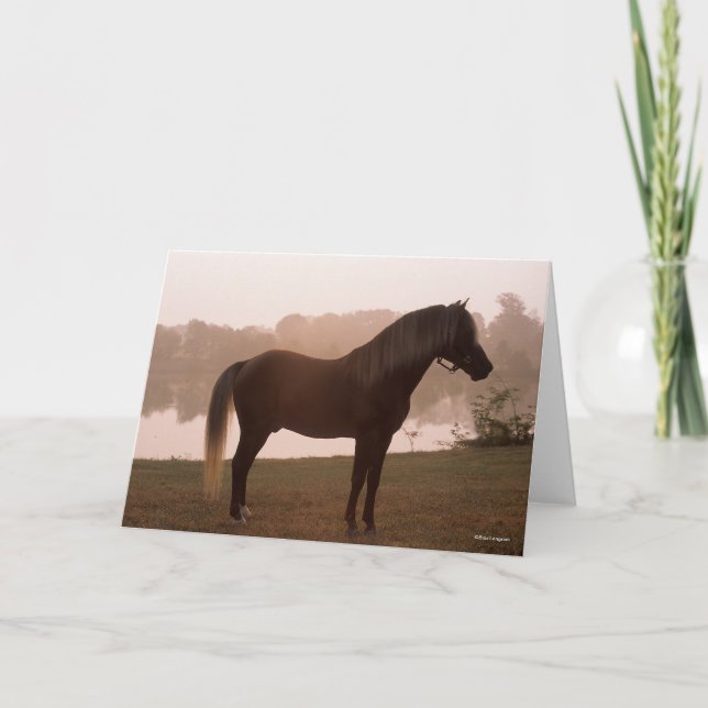 Tarjeta Bob Langrish Montaña Rocky Caballo de pie retroilu (Anverso)