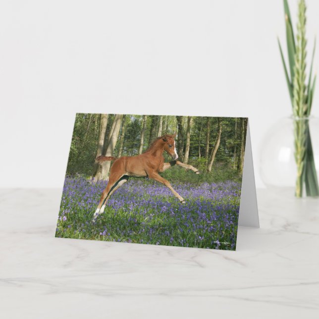 Tarjeta Bob Langrish | Morgan Foal Leaping With Bluebells (Anverso)