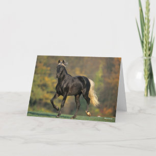 Tarjeta Bob Langrish   Otoño de Caballo de Montaña Rocosa