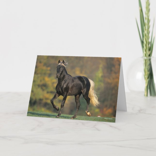 Tarjeta Bob Langrish | Otoño de Caballo de Montaña Rocosa (Anverso)