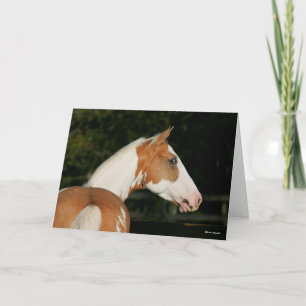 Tarjeta Bob Langrish   Paint Horse Headshot