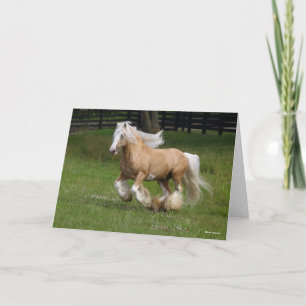 Tarjeta Bob Langrish   Palomino Gypsy Vanner Horario Corri